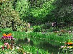 -上海共青森林公园