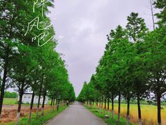 -嘉北郊野公园