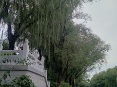 -南长河公园