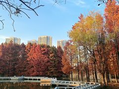 -白塘生态植物园