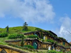 -仰天湖大草原