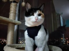 -美迦爱-牙专科·兔科·骨科诊疗中心(北苑店)