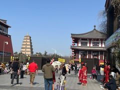 -唐猫庭院·千年陕菜(大唐不夜城店)