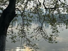 -食膳公园包子铺(烈士公园店)