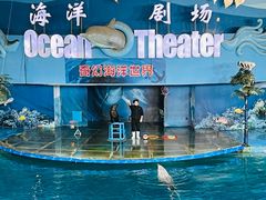 -苏州海洋馆