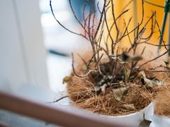 -一尺花园(安和花园店)