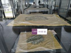 -太湖雪蚕桑文化园
