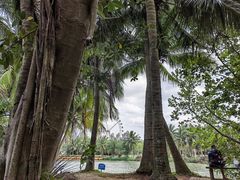 -白沙门生态公园