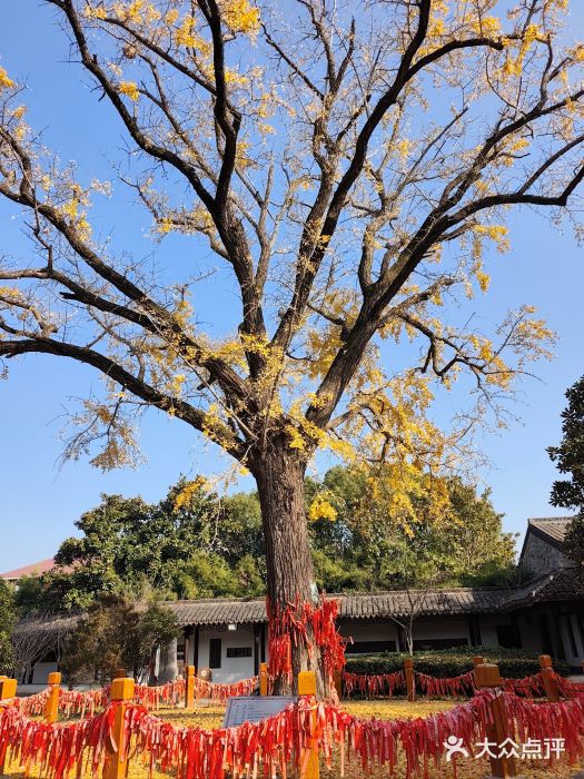 张謇纪念馆图片