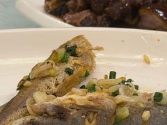 -阳江餐厅·30年老字号·粤菜海鲜大排档