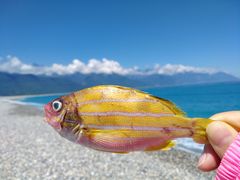 -七星潭蓝天广场