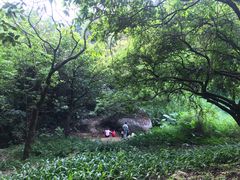 -火炉山森林公园