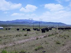 -青海湖国家重点风景名胜区