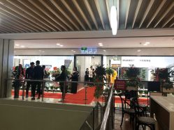 -华卫思理轻奢造型