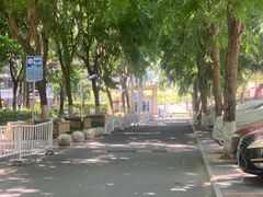 -野草莓自由市场