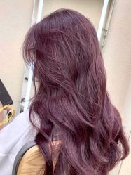 -IP SALON