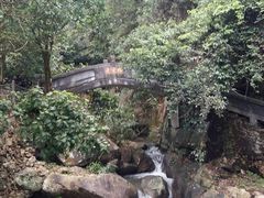 -四会奇石河风景区