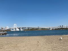 -台场海滨公园船码头