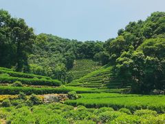 -果粉管家苹果维修·苹果哥科技(中关村科贸中心写字楼店)