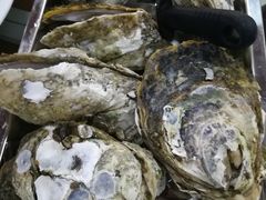 -蚝得喜海鲜(东城店)