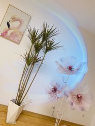 -美肤盾祛痘·问题肌头疗管理中心