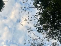 -鹿回头风景区