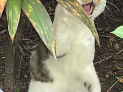 -晓港公园