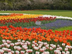 -天龙顶山地公园