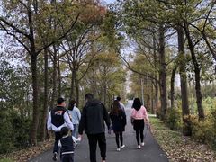 -上海长兴岛郊野公园