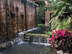 -呀路古热带植物园