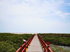 -北海金海湾红树林生态旅游区