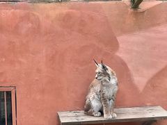 -青藏高原野生动物园