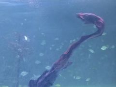 -常州海昌海洋探索馆
