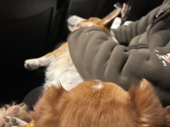 -银兴国际影城(星汇维港店)