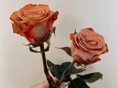 -茶颜悦色(雨花亭凯德二楼店)