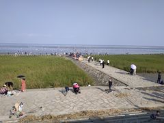 -南汇嘴观海公园