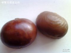 小宝-栗子-小宝栗子(嘉华国际商业中心店)