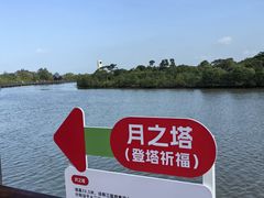 -东寨港红树林旅游区