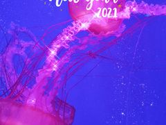 -海合安青岛极地海洋公园