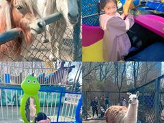 -长白岛森林公园