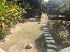 -广东惠东海龟国家级自然保护区