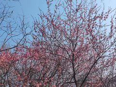 -汉口江滩-五福广场