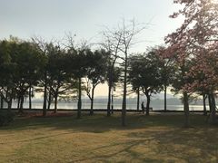 -顺峰山公园