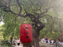 -淄博聊斋城景区