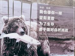 -北京动物园