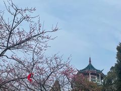 -无锡梅园公园