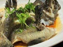 清蒸龙胆石斑鱼-临家闽南菜(环岛路店)