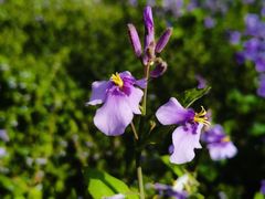 -停车场(临桂路)