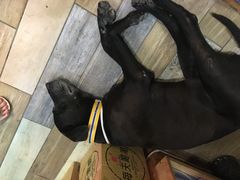 -阿飞冲浪旅店一馆