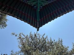 -潭柘寺景区